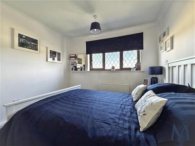 Picture 14